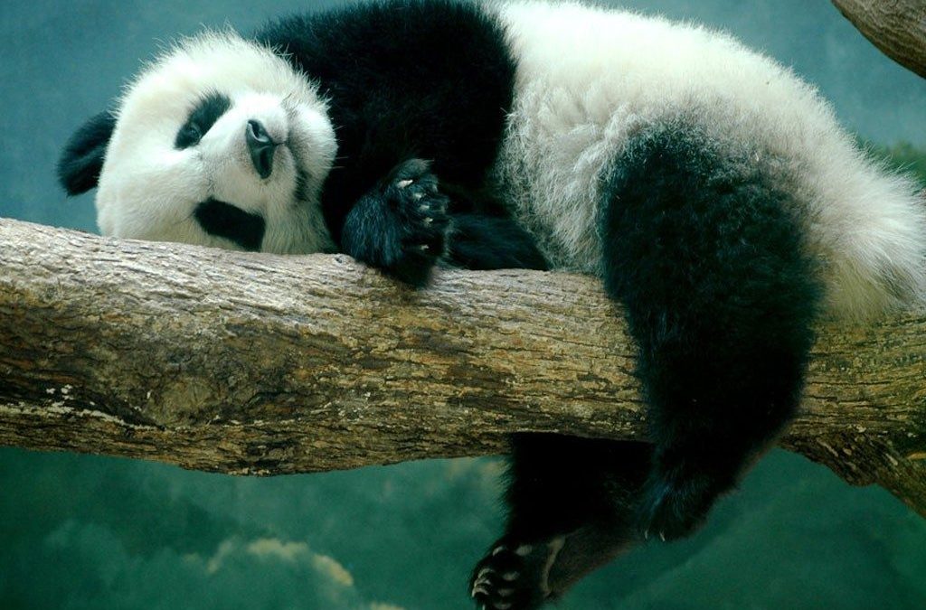 Kun vireystilan säätely ei yksin riitä tasapainoiseen elämään.